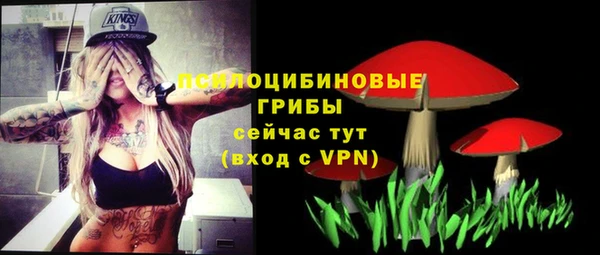 тгк Ельня