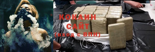 тгк Ельня