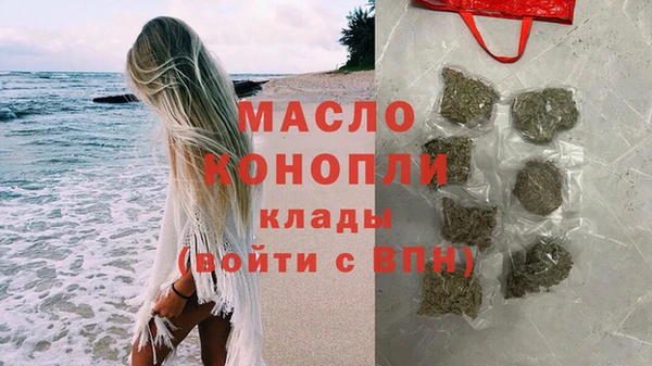 тгк Ельня