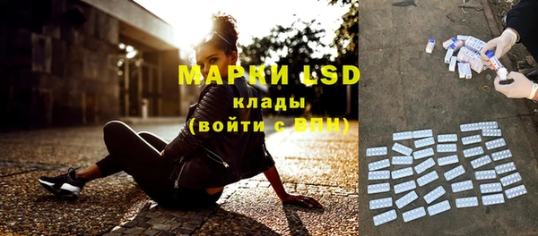 тгк Ельня