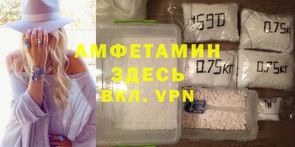 тгк Ельня