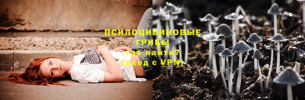 ешки Кукмор