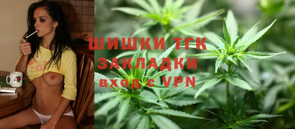 тгк Ельня