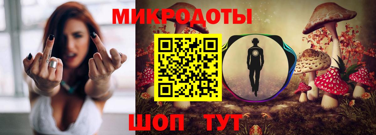 Людиново  где продают   Вход с VPN  Галлюциногенные грибы прущие грибы 